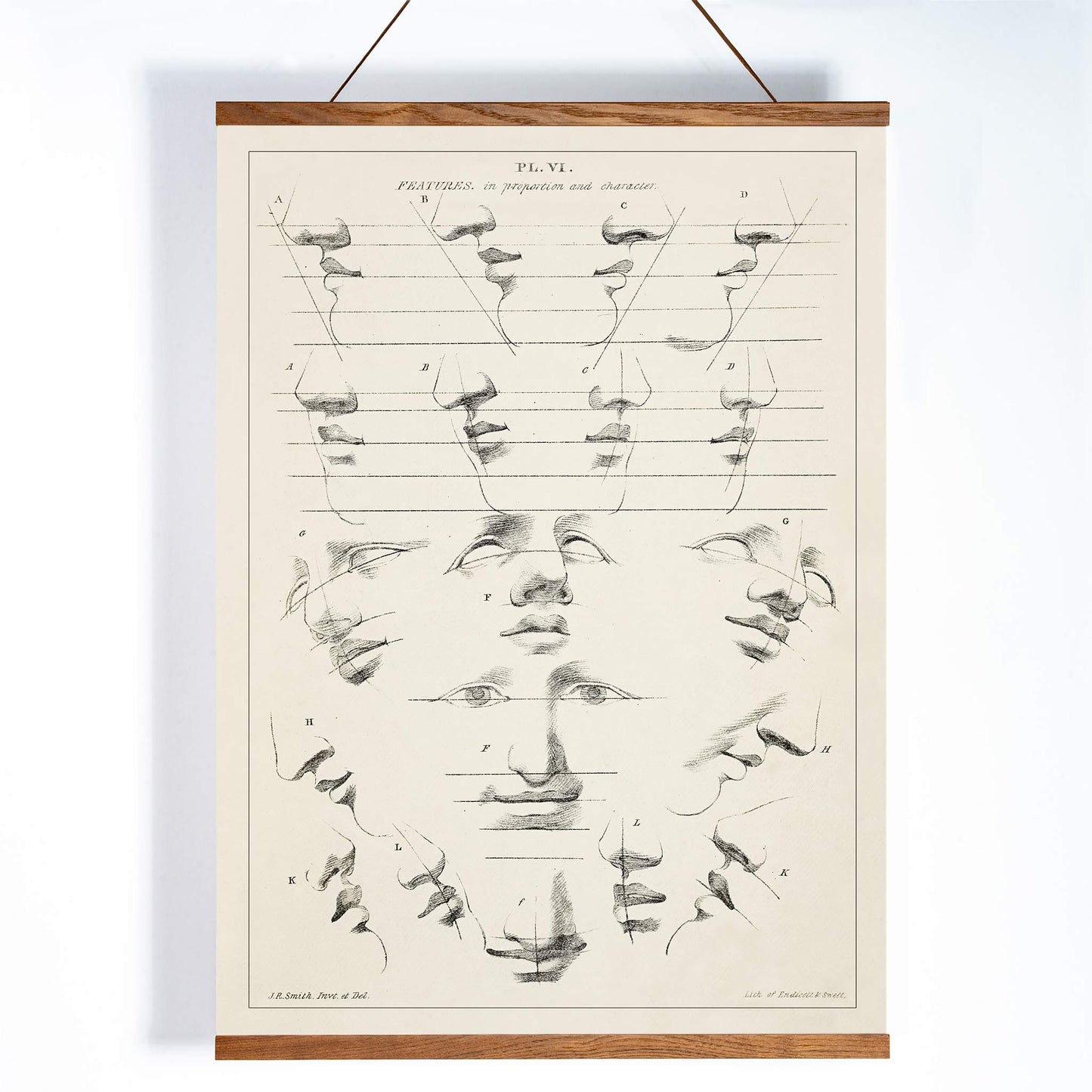 John Rubens Smith human figure drawing study poster with black and white facial feature sketches, with wooden magnetic frame on white background