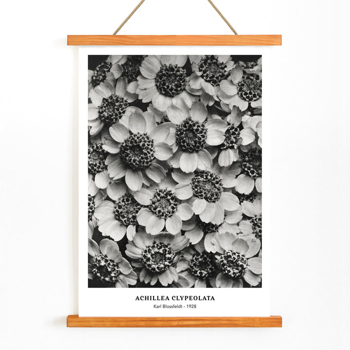 , with wooden magnetic frame on white background