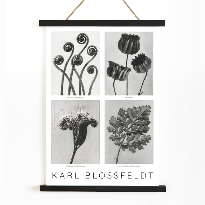 , with wooden magnetic frame on white background