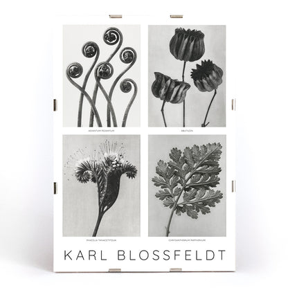 , framed and displayed in modern living room decor