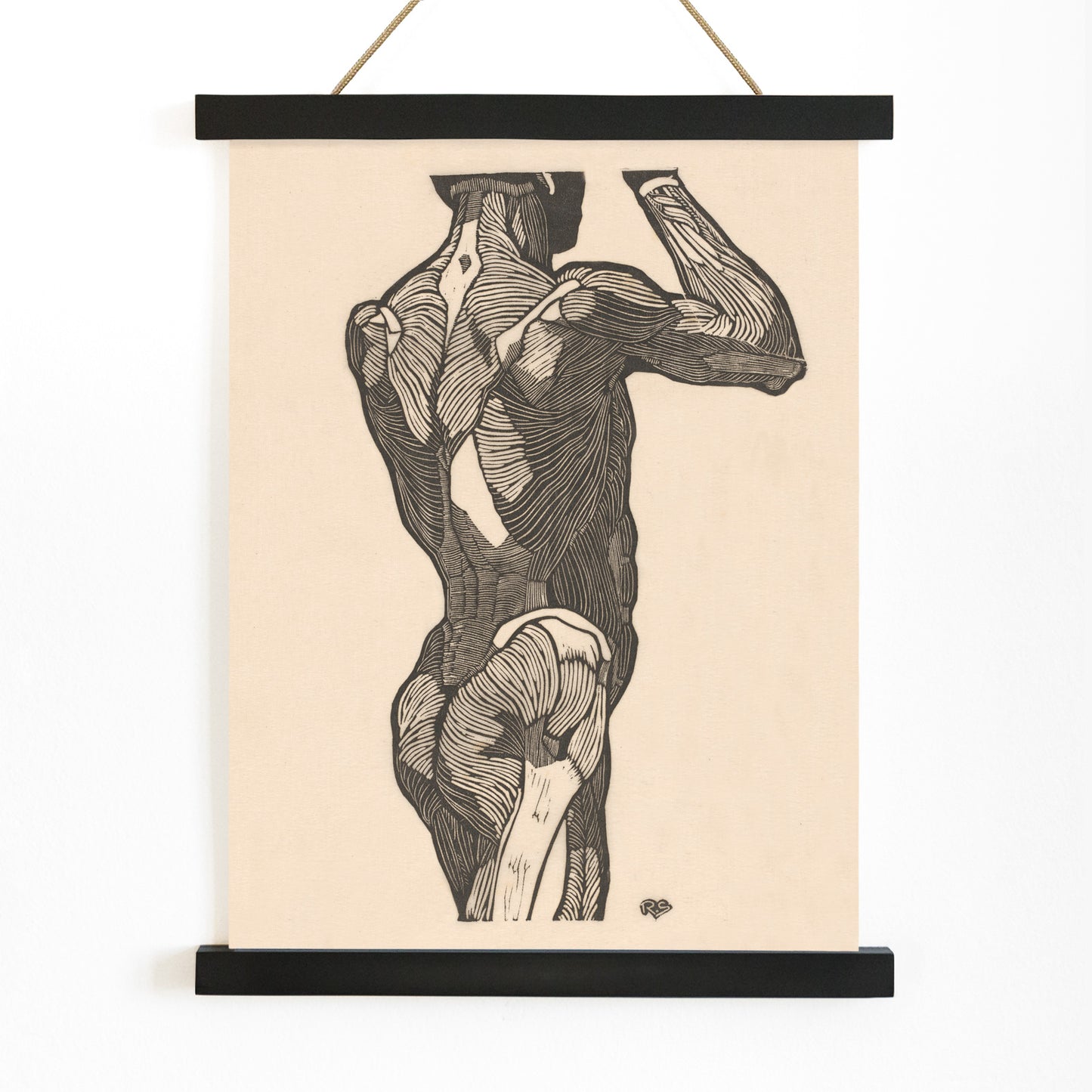 Anatomical illustration of human glute muscles from the back artwork by Reijer Stolk titled Glute Muscles detailed muscle study poster, with wooden magnetic frame on white background