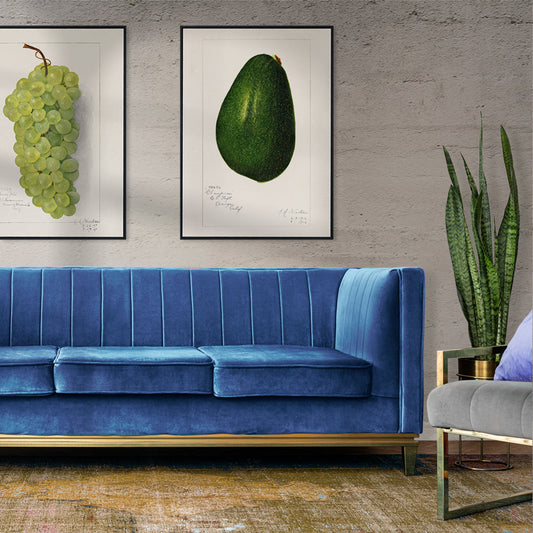 Detailed avocado illustration by Amanda Almira Newton perfect for kitchen decor poster, framed and displayed in home decor