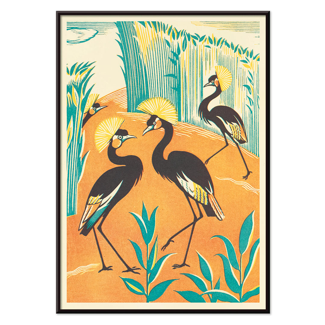 Colorful exotic birds and stylized plants in a jungle setting by Clifford Webb from A Jungle Picnic Pl15 poster with orange and green background, with black aluminium frame on white background