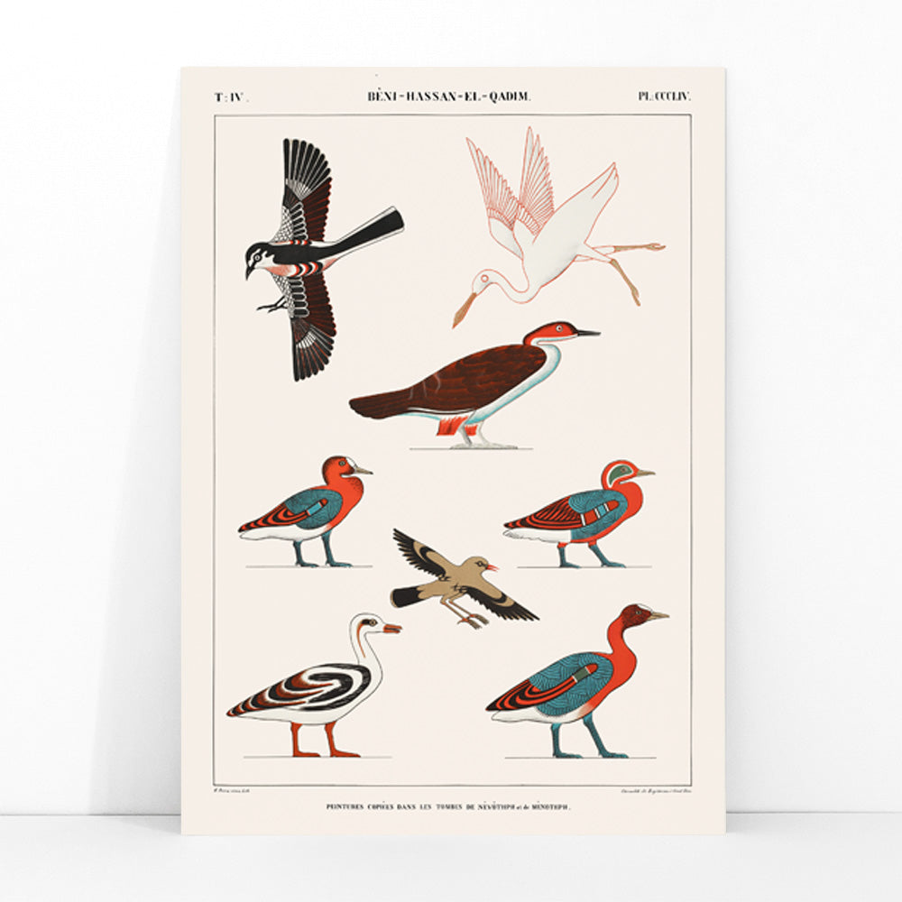 Colorful ancient Egyptian bird illustrations by Jean Francois Champollion from tomb paintings of Nevoethph and Menothph poster, framed and displayed in modern living room decor