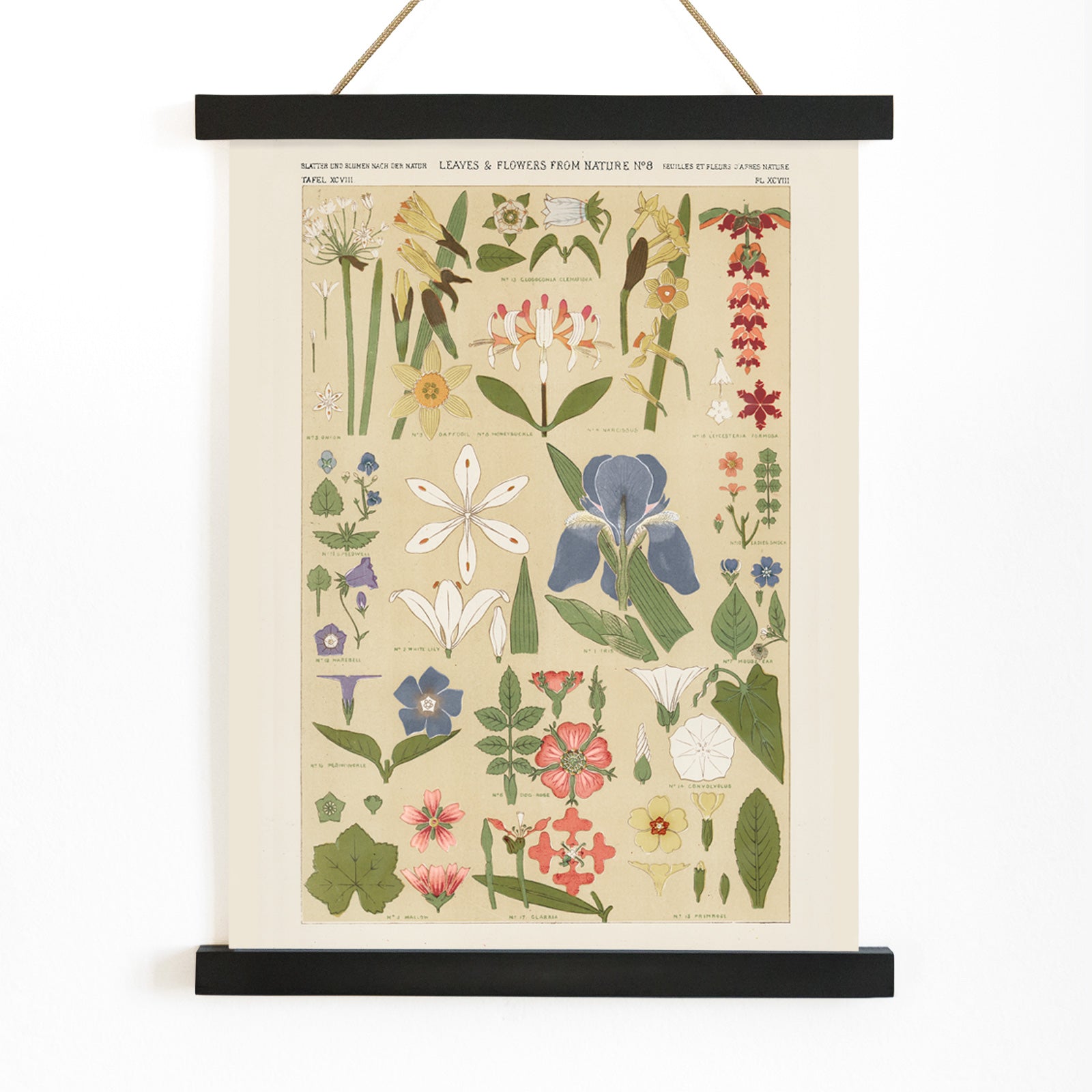 Botanical illustration poster of colorful leaves and flowers by Owen Jones from Grammar of Ornament, with wooden magnetic frame on white background