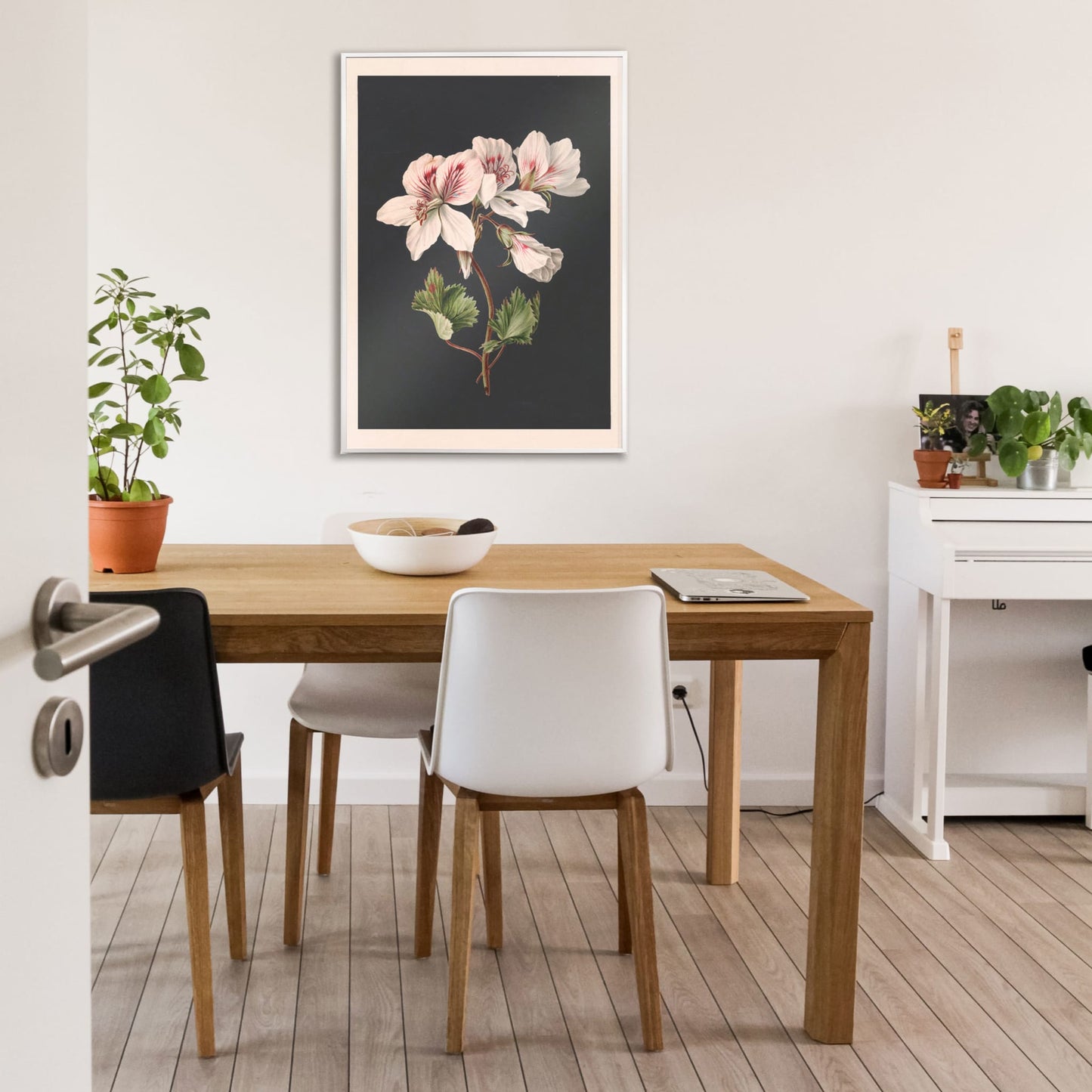 Botanical illustration of Pelargonium flower by M de Gijselaar with white petals and green leaves on dark background poster wall decor, framed and displayed in home decor