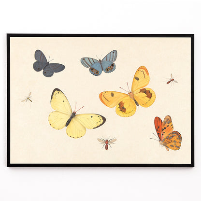 Closeup detail of Illustration and poster of butterflies wasp and flies from Five Butterflies a Wasp and Two Flies by Pieter Withoos