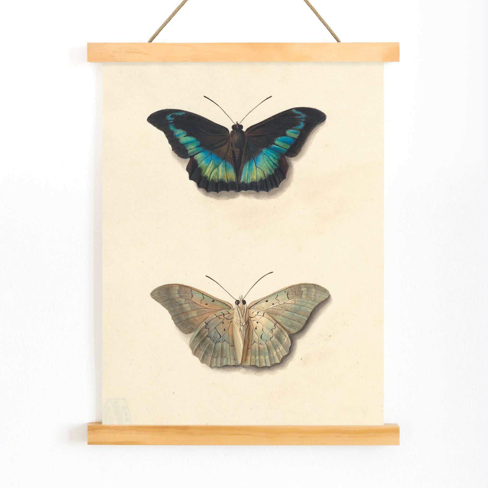 Colorful detailed butterflies by Georgius Jacobus Johannes van Os on cream background illustration and poster, with wooden magnetic frame on white background