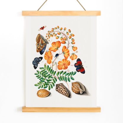 Botanical illustration and poster of vibrant flowers beetles butterflies and shells from Natural History Cabinet of Anna Blackburne by James Bolton, with wooden magnetic frame on white background