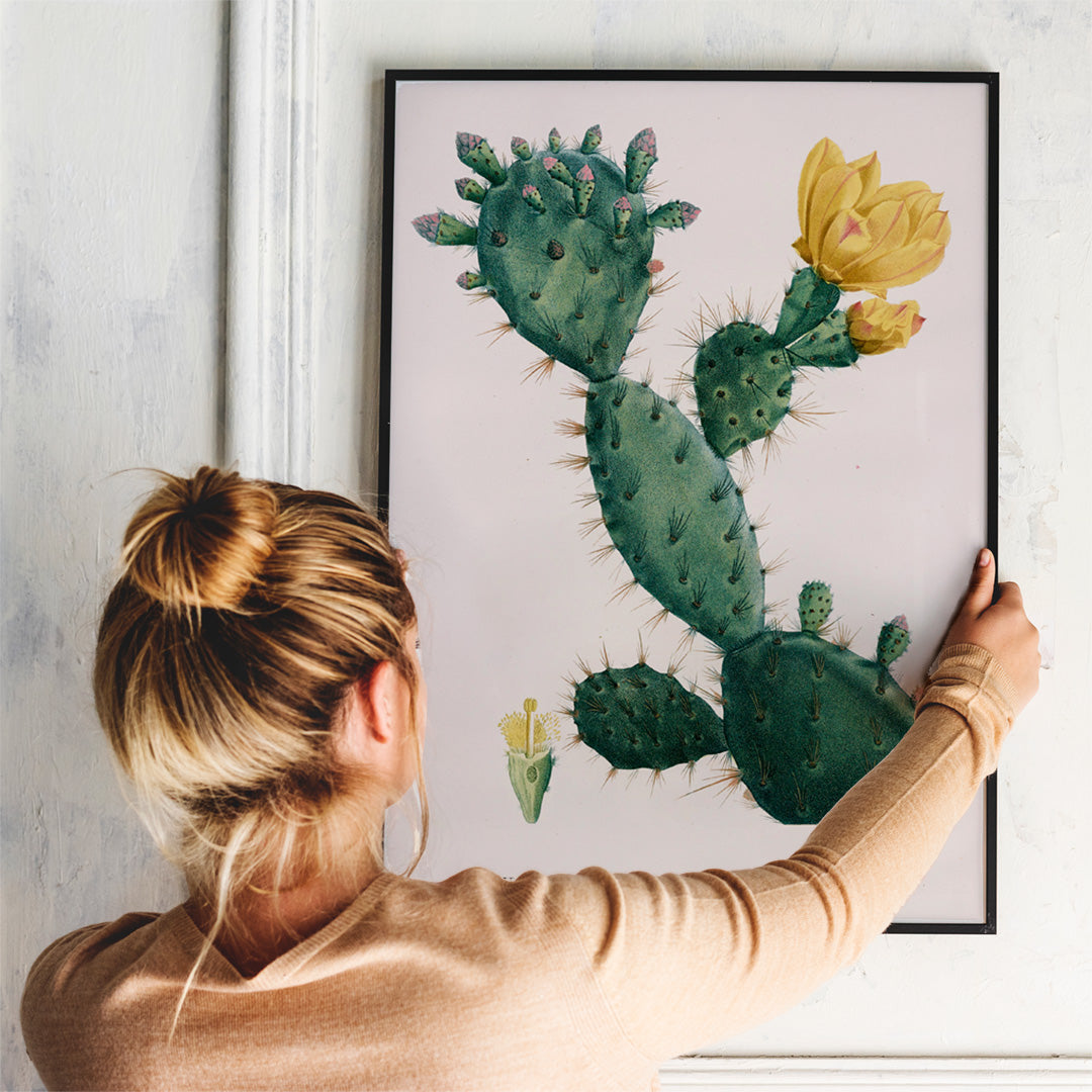 Botanical illustration and poster of green Opuntia cactus with yellow flowers artwork by Pierre-Joseph Redoute, framed and displayed in home decor