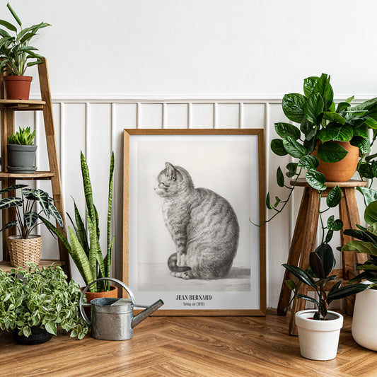 Detailed drawing of a sitting cat by Jean Bernard titled Sitting cat poster for home or office decor, framed and displayed in home decor