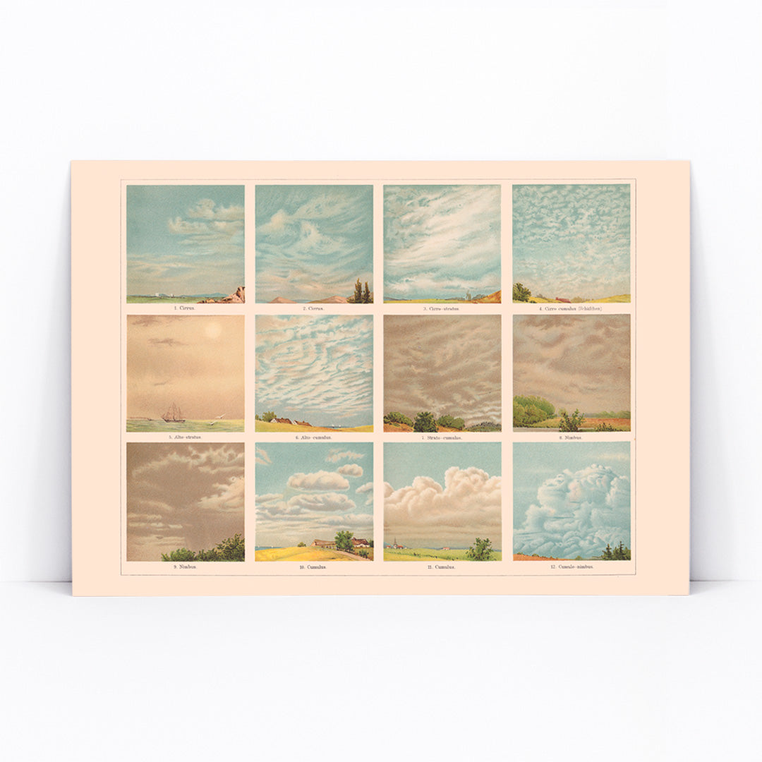 Vintage illustrated chart and poster of cloud types and formations titled Cloud Shapes by The Institute of Liepzig with descriptive labels, framed and displayed in modern living room decor