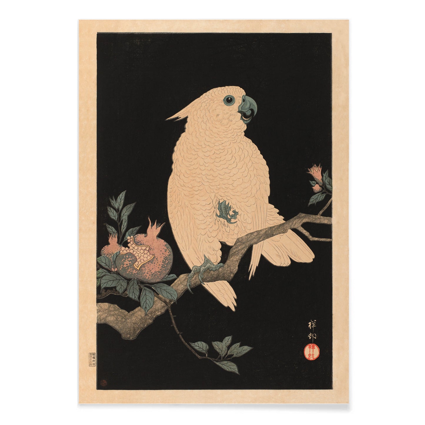 White cockatoo perched on a branch with pomegranate artwork by Ohara Koson poster, with black aluminium frame on white background