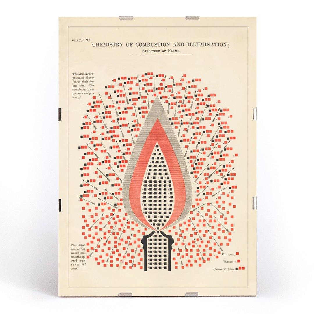 , framed and displayed in modern living room decor