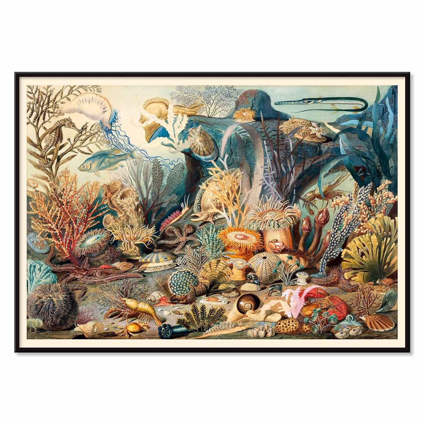 Vibrant underwater scene with colorful marine life plants and sea creatures artwork Ocean Life by James M Sommerville, with black aluminium frame on white background