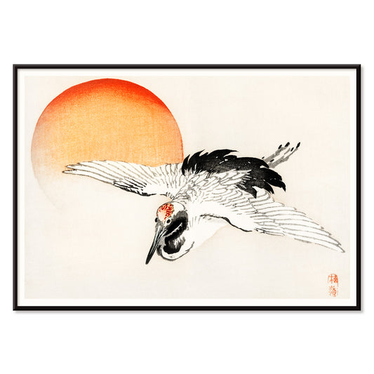 , with black aluminium frame on white background