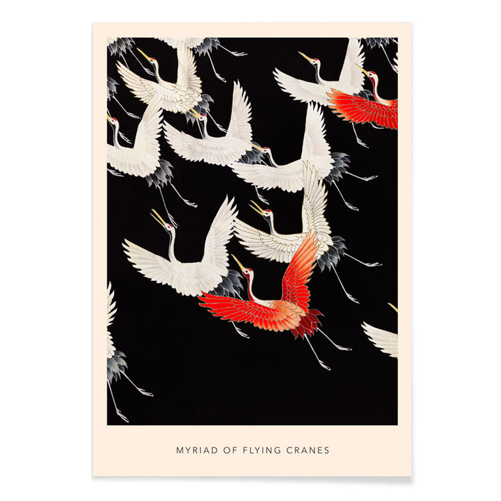Furisode with a Myriad of Flying Cranes traditional Japanese artwork poster featuring elegant white and red cranes in flight on a black background, with black aluminium frame on white background