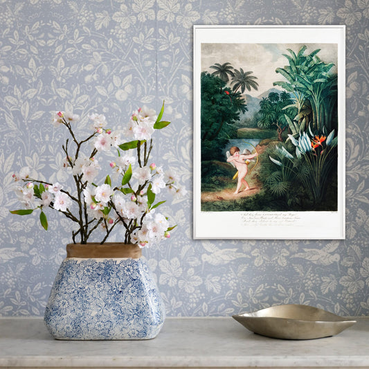 Cupid aiming a bow among lush tropical plants artwork by Robert John Thornton The Temple of Flora poster, framed and displayed in home decor