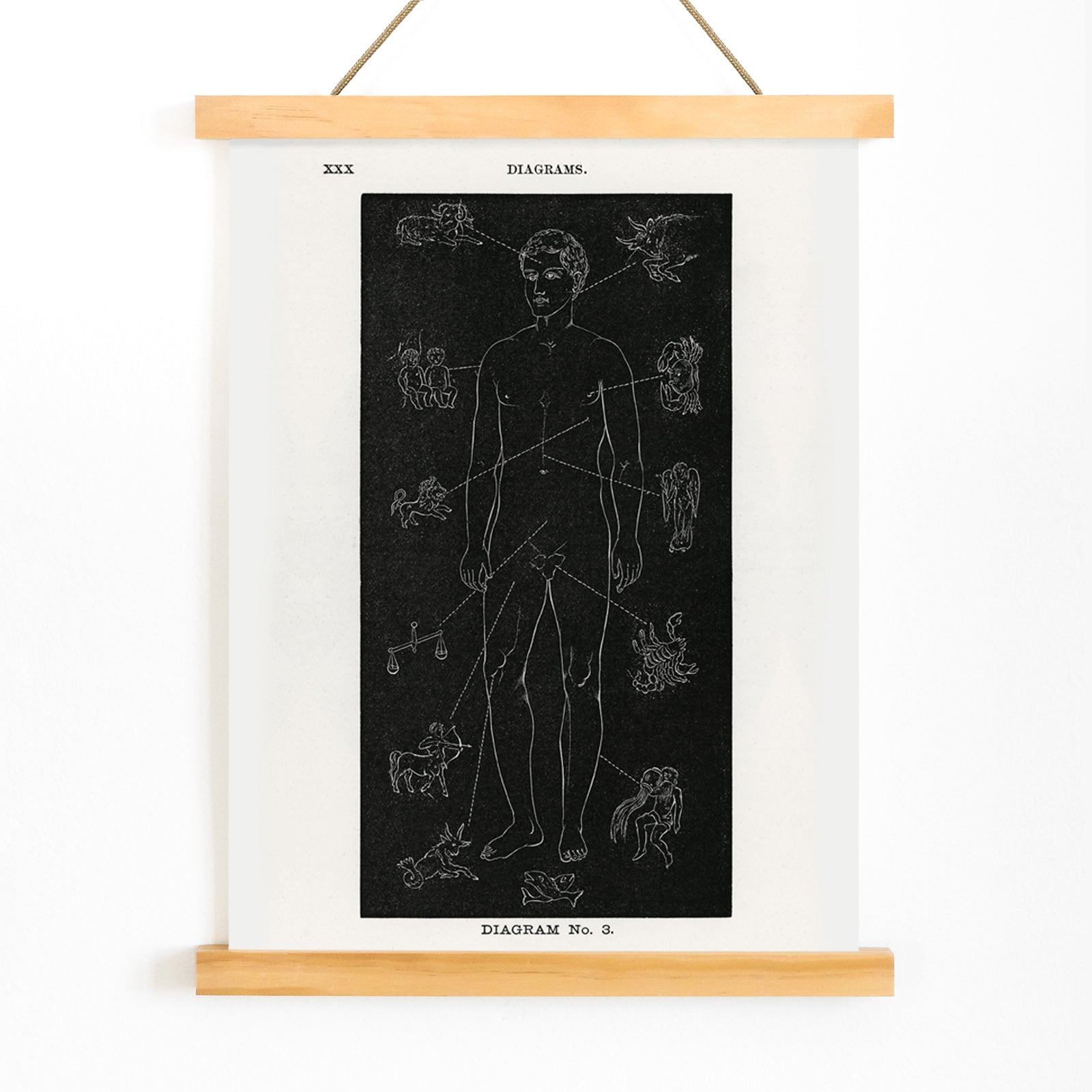 Human body diagram with astrological zodiac symbols and body part connections from Solar Biology by Hiram Erastus Butler, with wooden magnetic frame on white background
