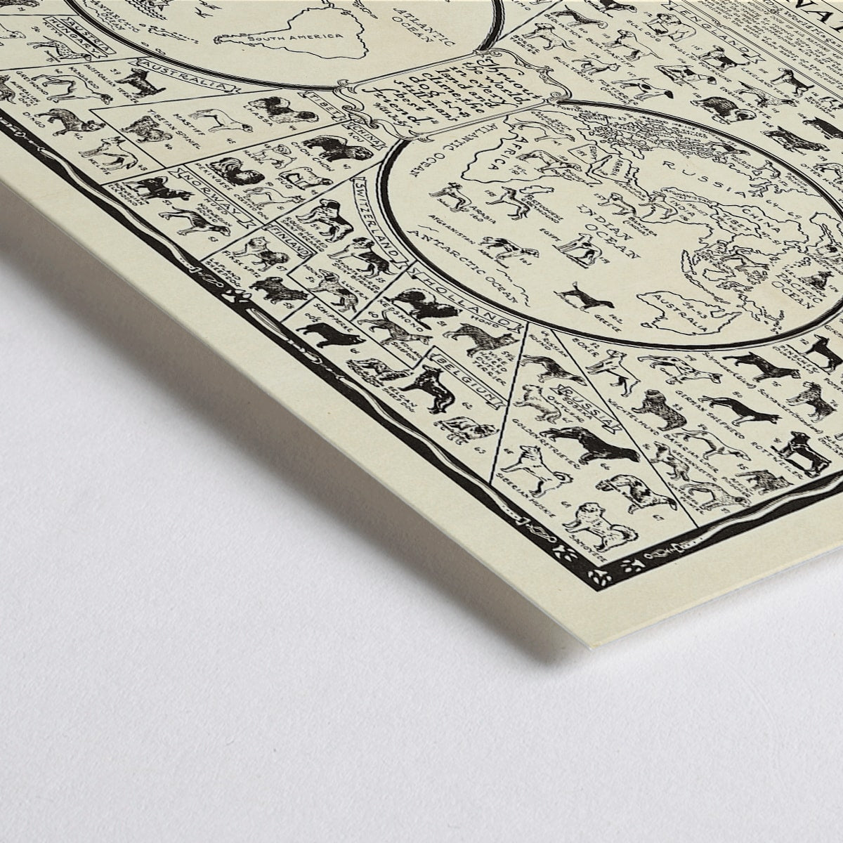 Closeup detail of Dogs of All Nations Map by Frantz E illustrated poster featuring various dog breeds from around the world