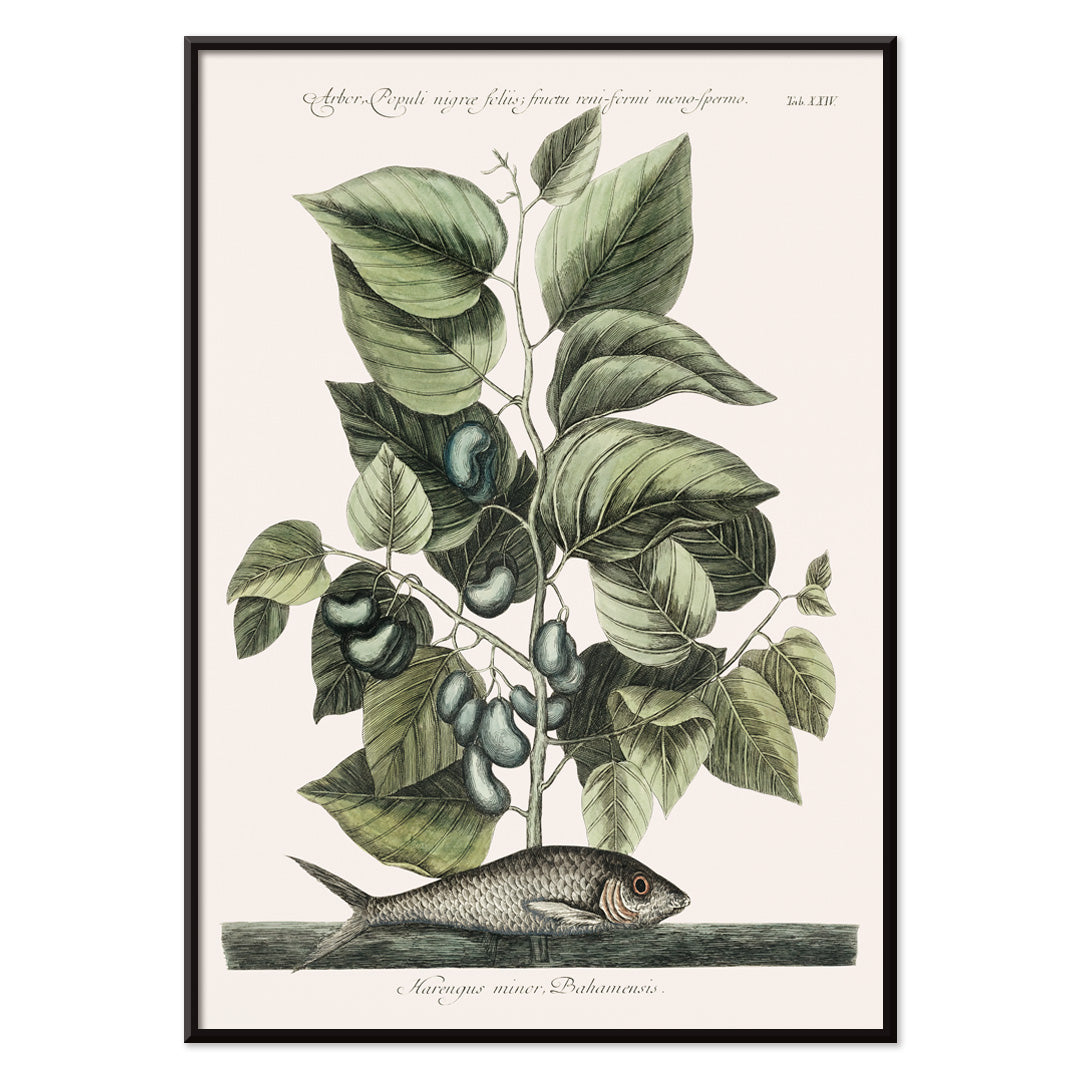 , with black aluminium frame on white background