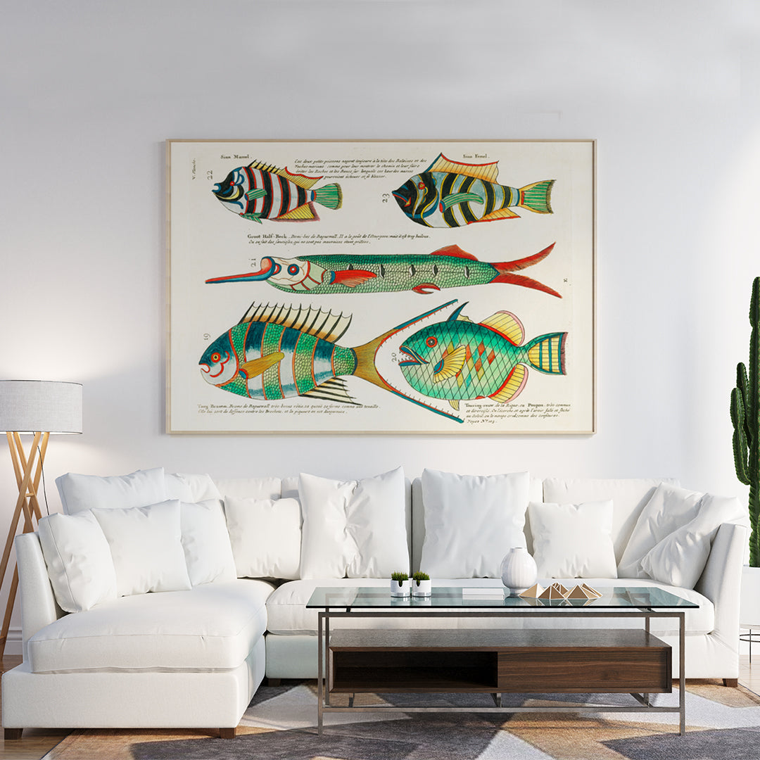 , framed and displayed in home decor