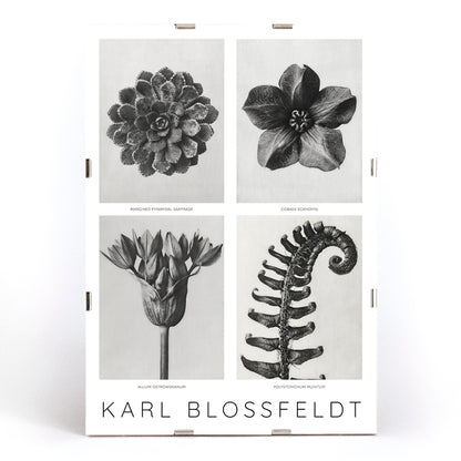 , framed and displayed in modern living room decor