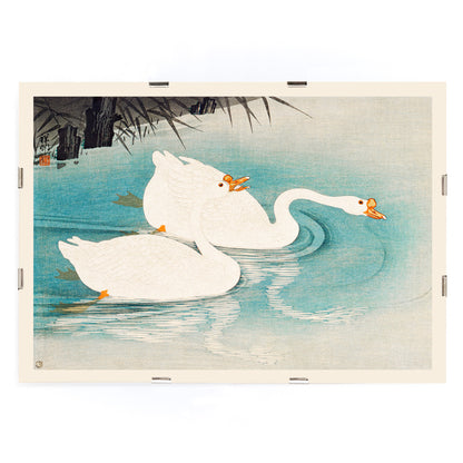 White geese swimming among blue water and reeds Geese amid Reeds by Ohara Koson poster, framed and displayed in modern living room decor