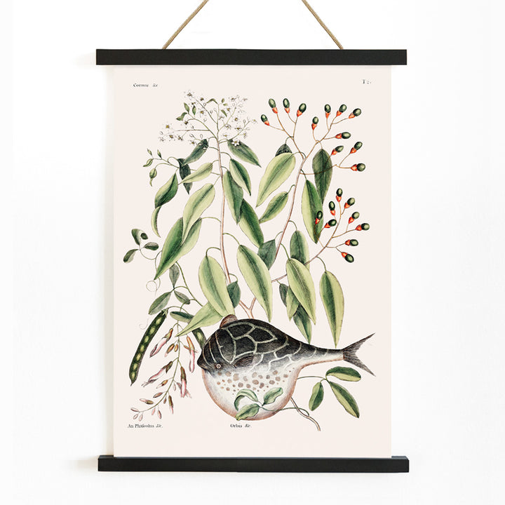 , with wooden magnetic frame on white background