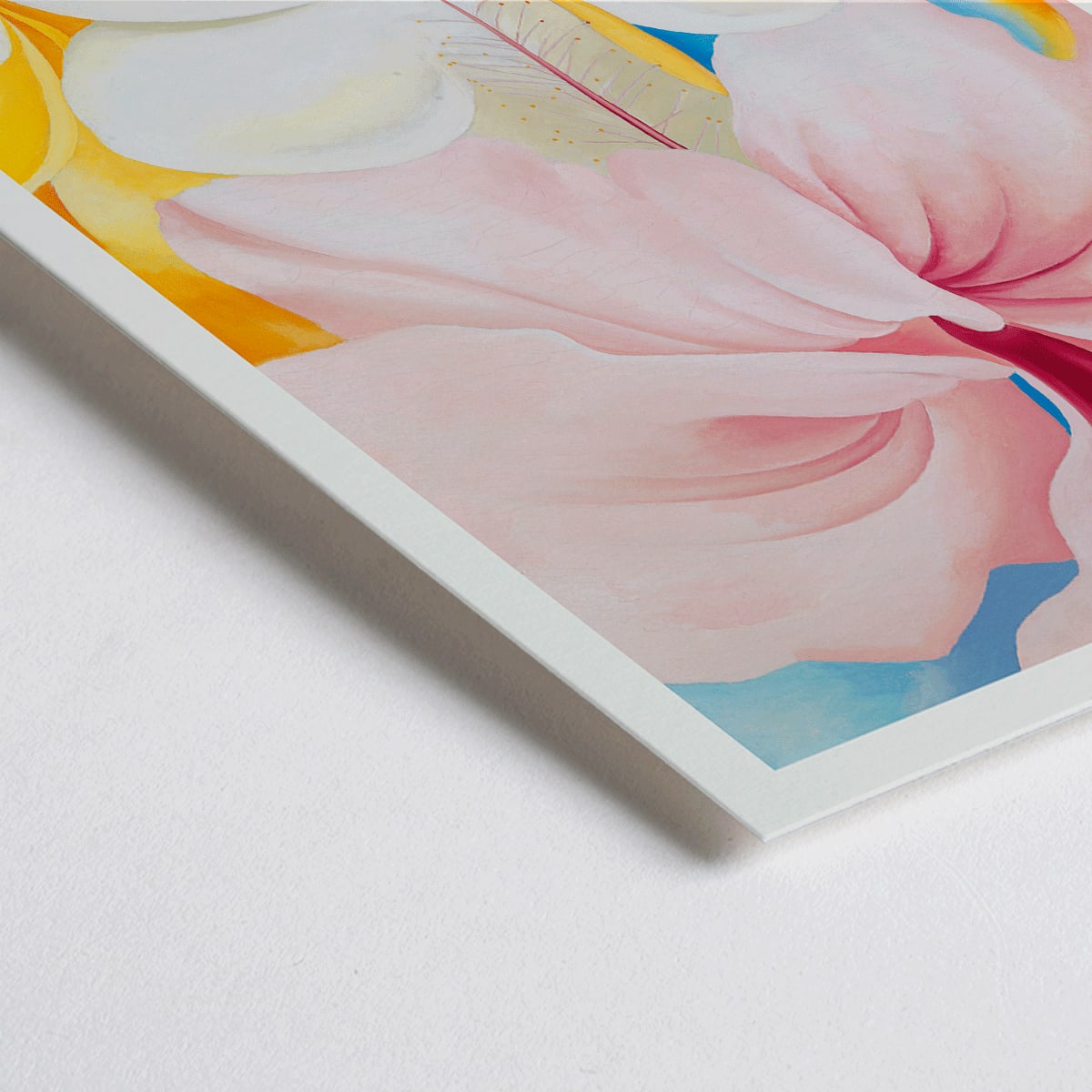 Closeup detail of Hibiscus with Plumeria by Georgia O Keeffe vibrant pink and white flowers in a colorful composition poster