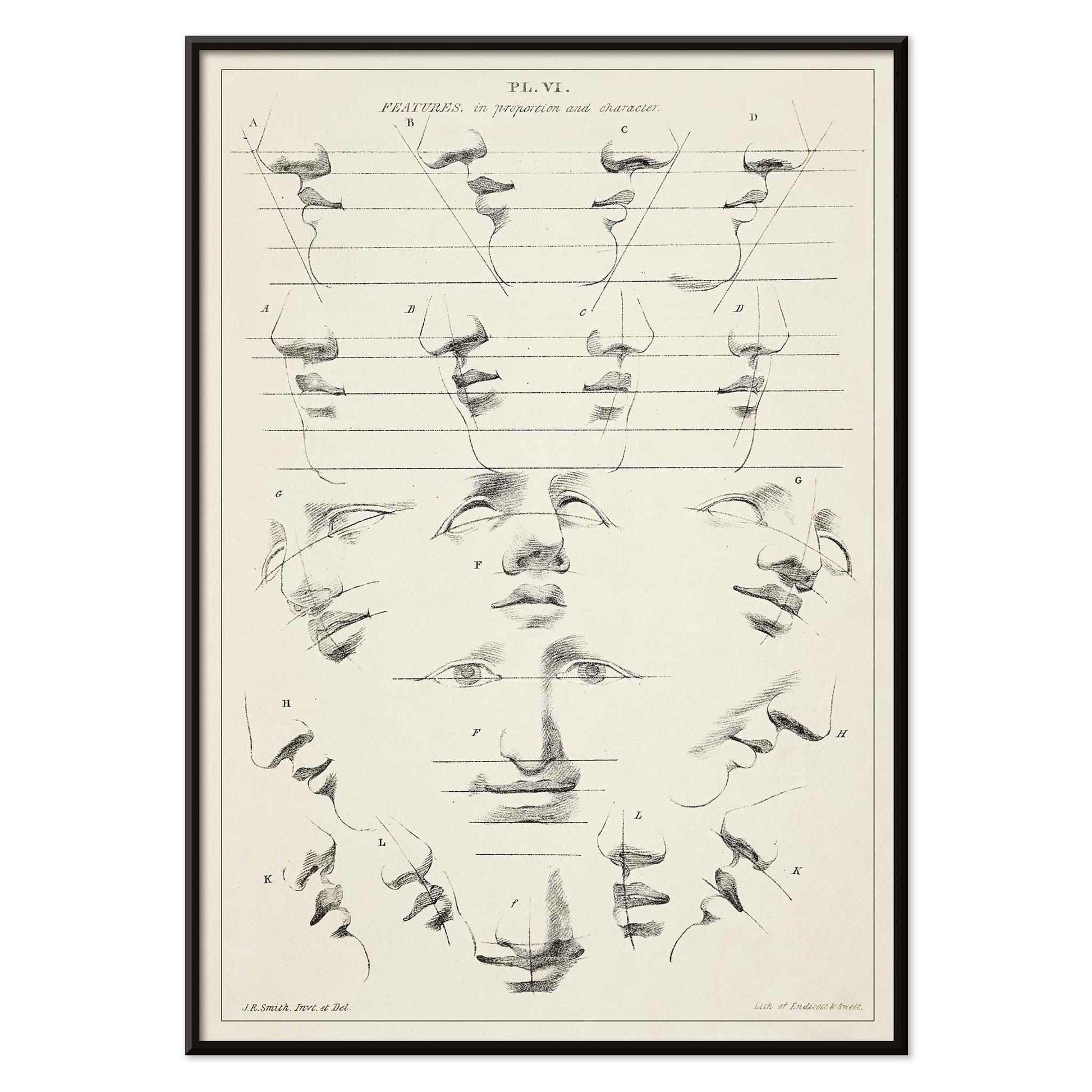 John Rubens Smith human figure drawing study poster with black and white facial feature sketches, with black aluminium frame on white background