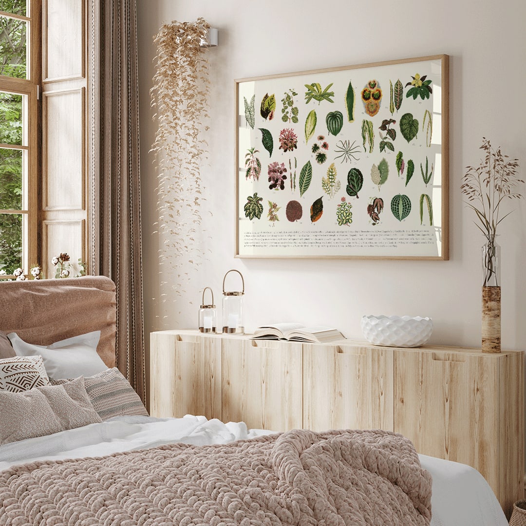 Botanical illustration poster of various leaves titled Collection of Leaves by artist Shirley Hibberd, framed and displayed in home decor