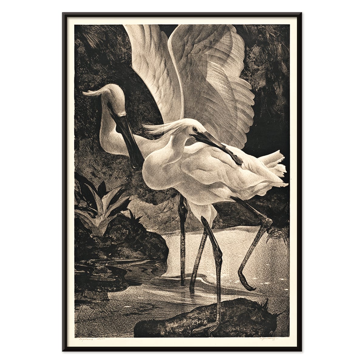 Egrets and spoonbills in natural setting from Lepelaars artwork by Adriaan van Hoff poster, with black aluminium frame on white background