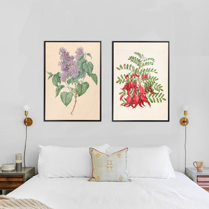 Botanical illustration poster of purple lilacs with green leaves titled Purple Lilacs by Maria Geertruida Barbiers-Snabilie, framed and displayed in home decor