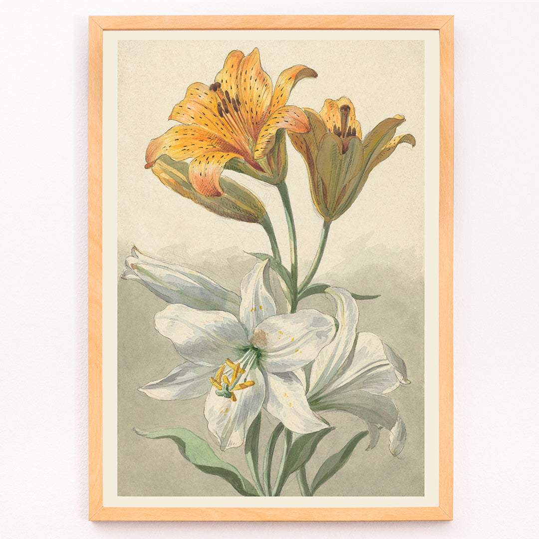 Closeup detail of Yellow and white lilies botanical art by Willem van Leen poster floral artwork illustration