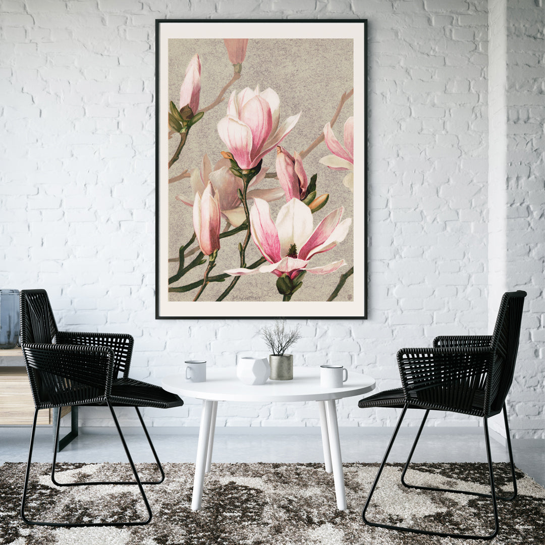 Magnolia flower botanical art print and poster in high resolution by L Prang and Co featuring detailed pink and white magnolia flowers, framed and displayed in home decor