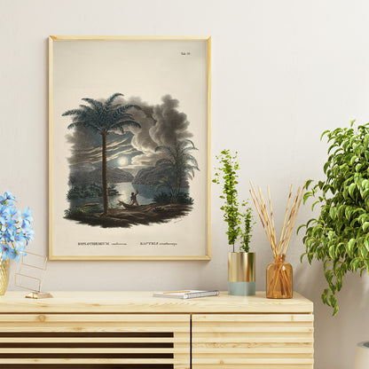 Tropical landscape with palm trees and river at sunset with canoe by Carl Friedrich Philipp von Martius from Historia Naturalis Palmarum Bactris acanthocarpa, framed and displayed in home decor