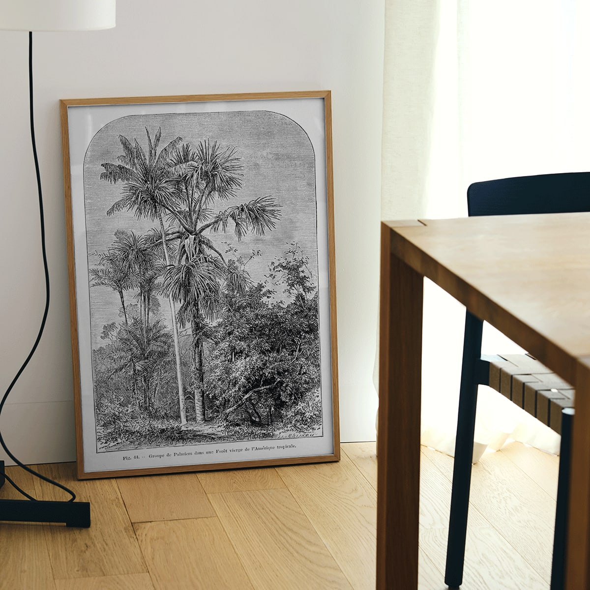 Palm trees in tropical forest illustration poster by Oswald de Kerchove de Denterghem Les Palmiers Histoire Iconographique, framed and displayed in home decor