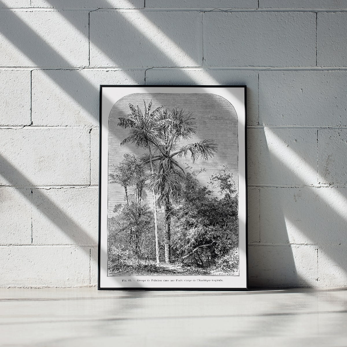 Palm trees in tropical forest illustration poster by Oswald de Kerchove de Denterghem Les Palmiers Histoire Iconographique, framed and displayed in modern living room decor