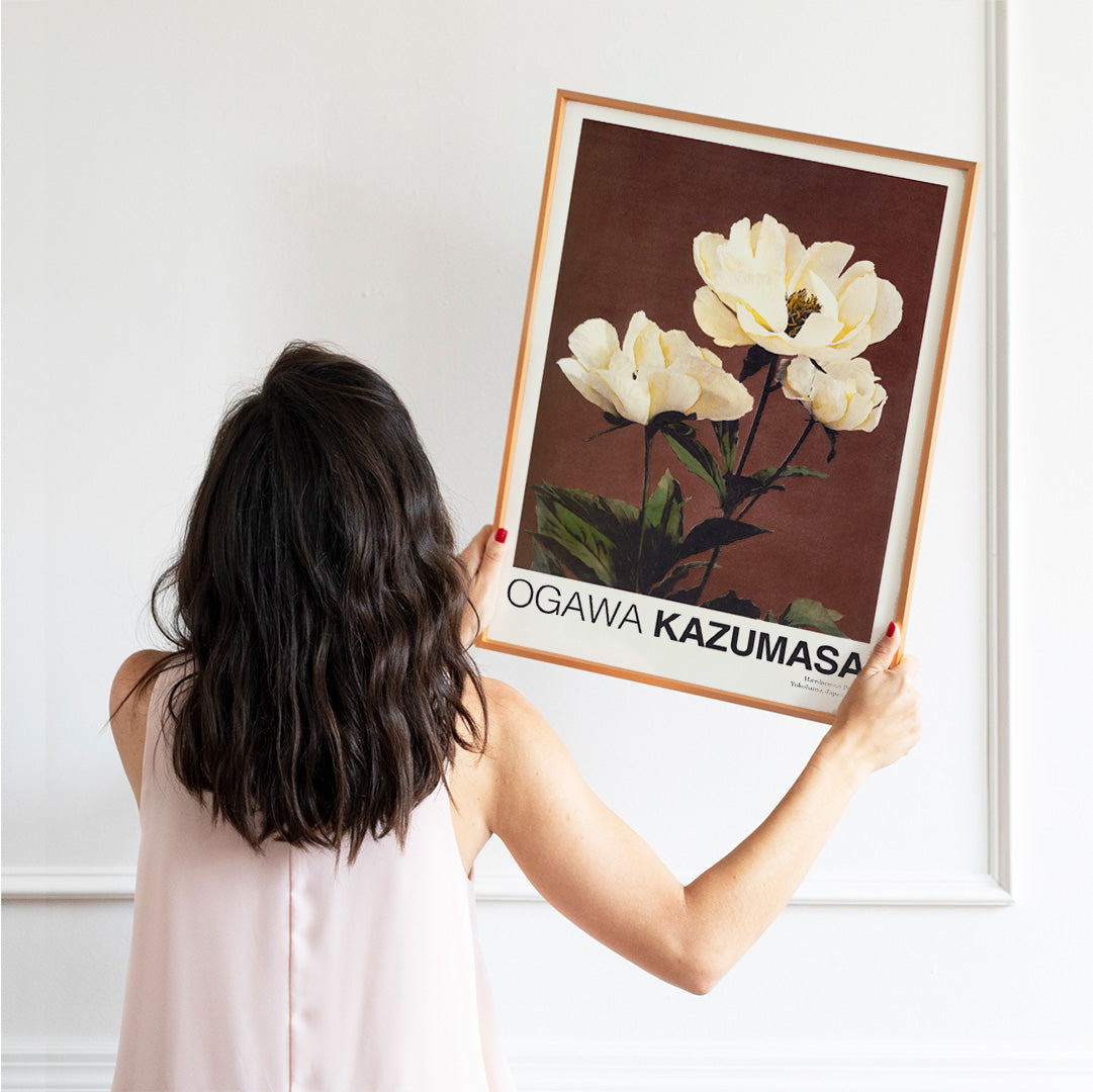 White peony flowers on brown and dark backgrounds from Haerdaceous Peony artwork by Kazumasa Ogawa poster, framed and displayed in home decor