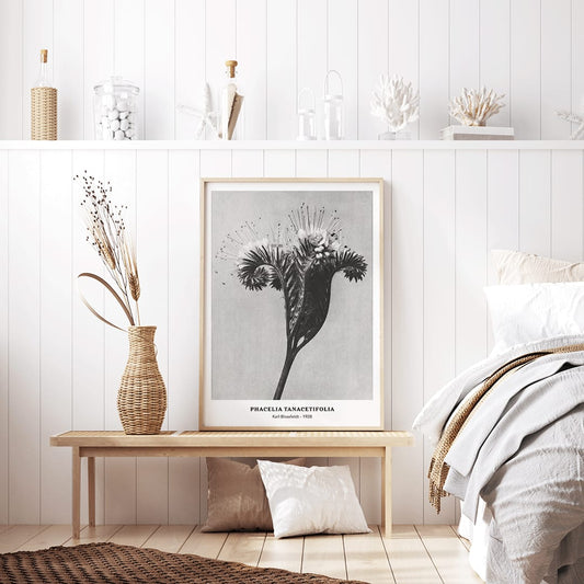 , framed and displayed in home decor