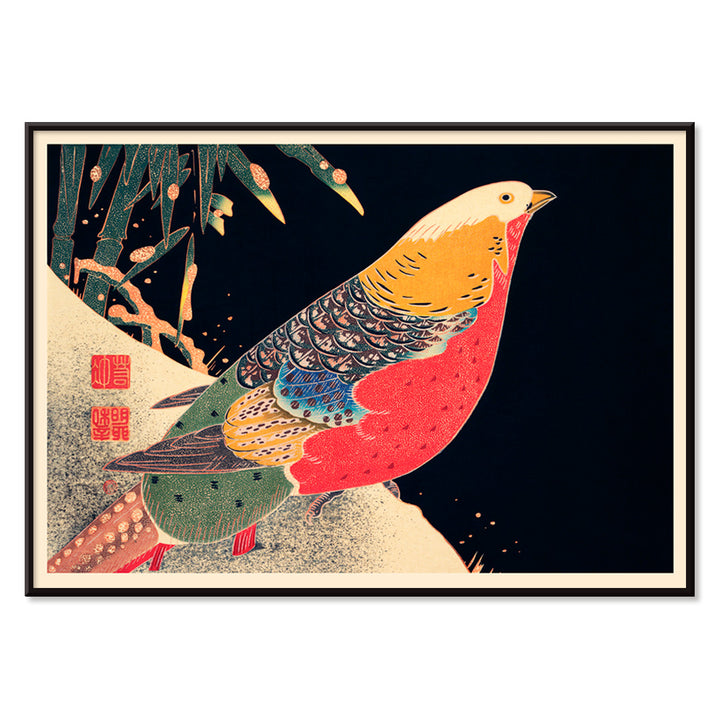 , with black aluminium frame on white background