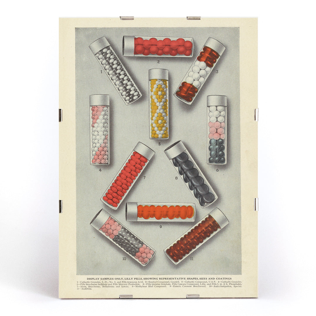 , framed and displayed in modern living room decor