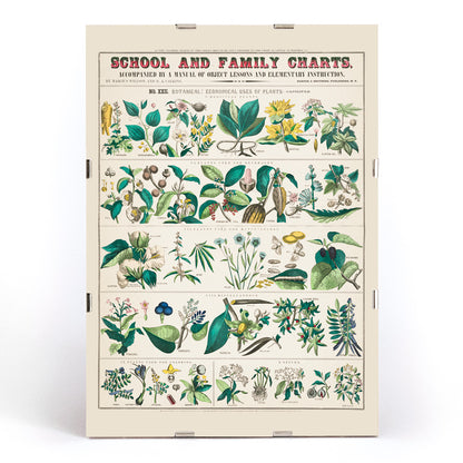 , framed and displayed in modern living room decor