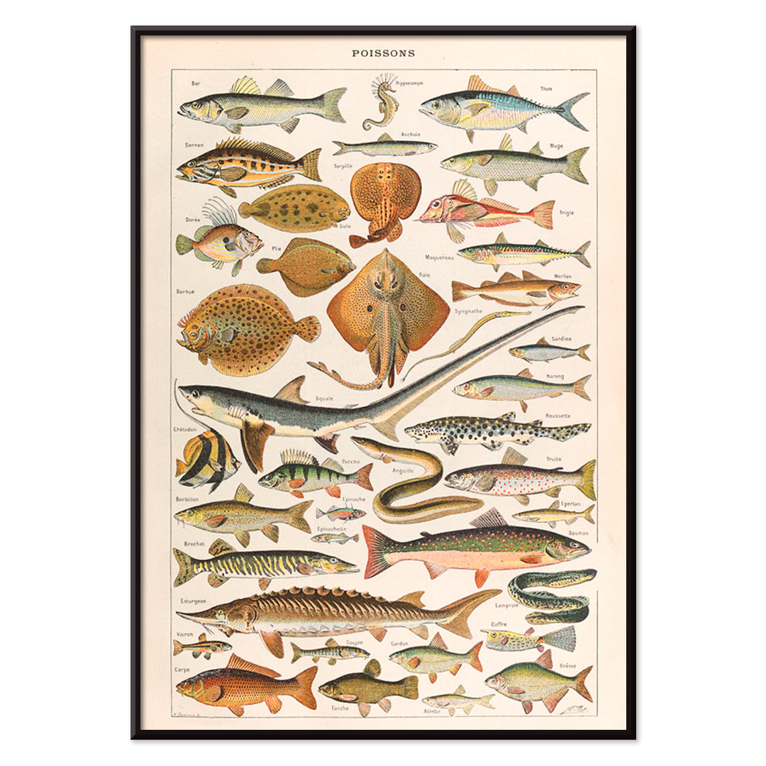 , with black aluminium frame on white background