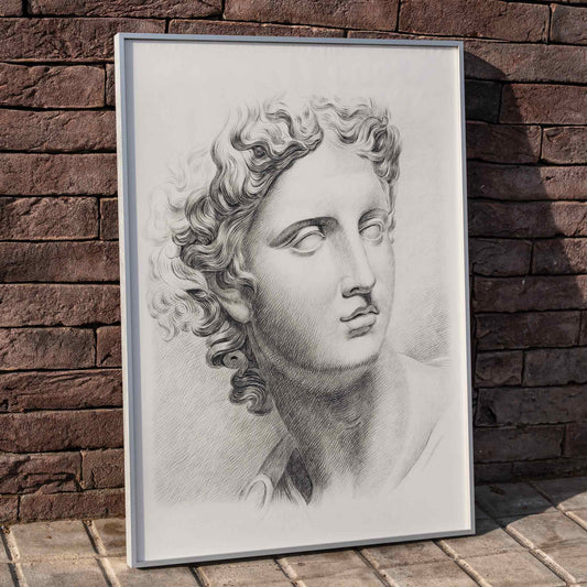 Academy study of a mans head after a plaster cast antique statue by Johannes Tavenraat detailed drawing and poster, framed and displayed in home decor