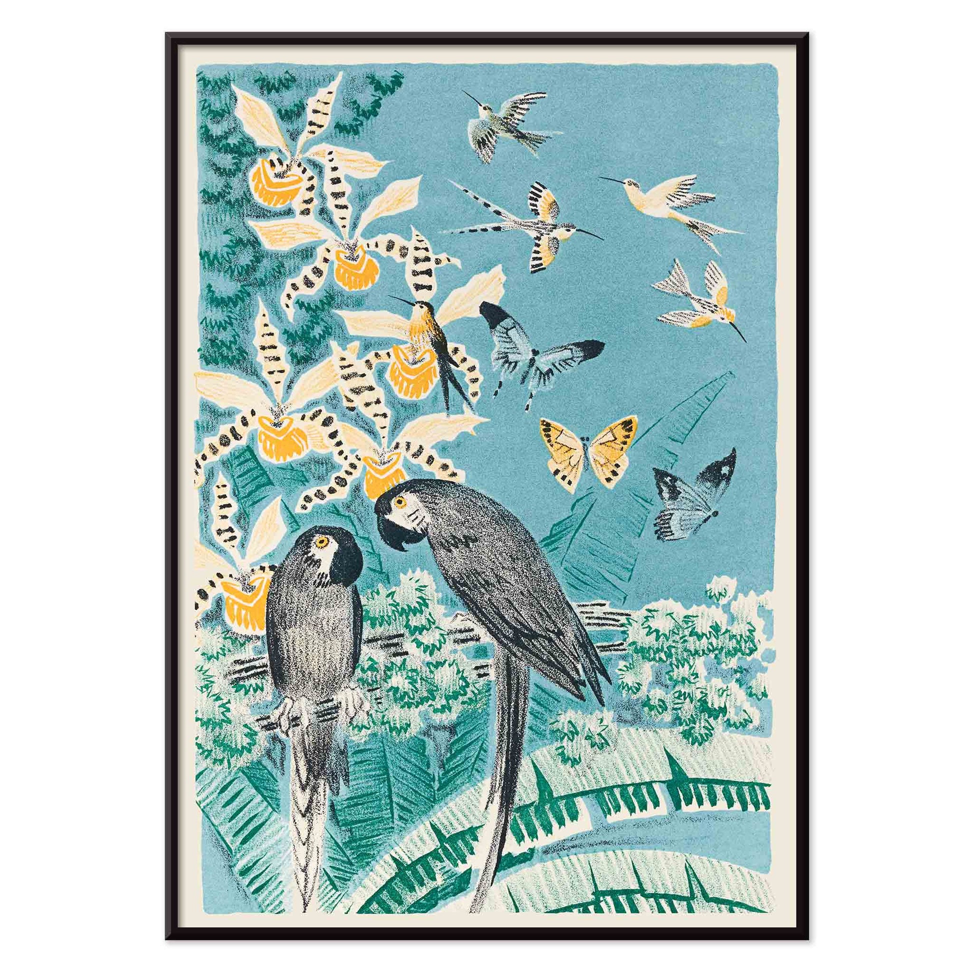 Colorful parrots butterflies and birds in a lush tropical garden illustration from Douze contes de Paris et de Provence by Paul Arène, with black aluminium frame on white background