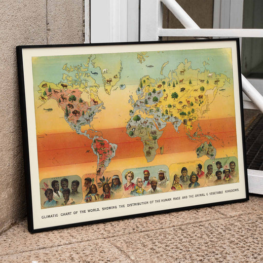 Climatic Chart of the World by Levi Walter Yaggy showing global distribution of humans animals and vegetation, framed and displayed in home decor