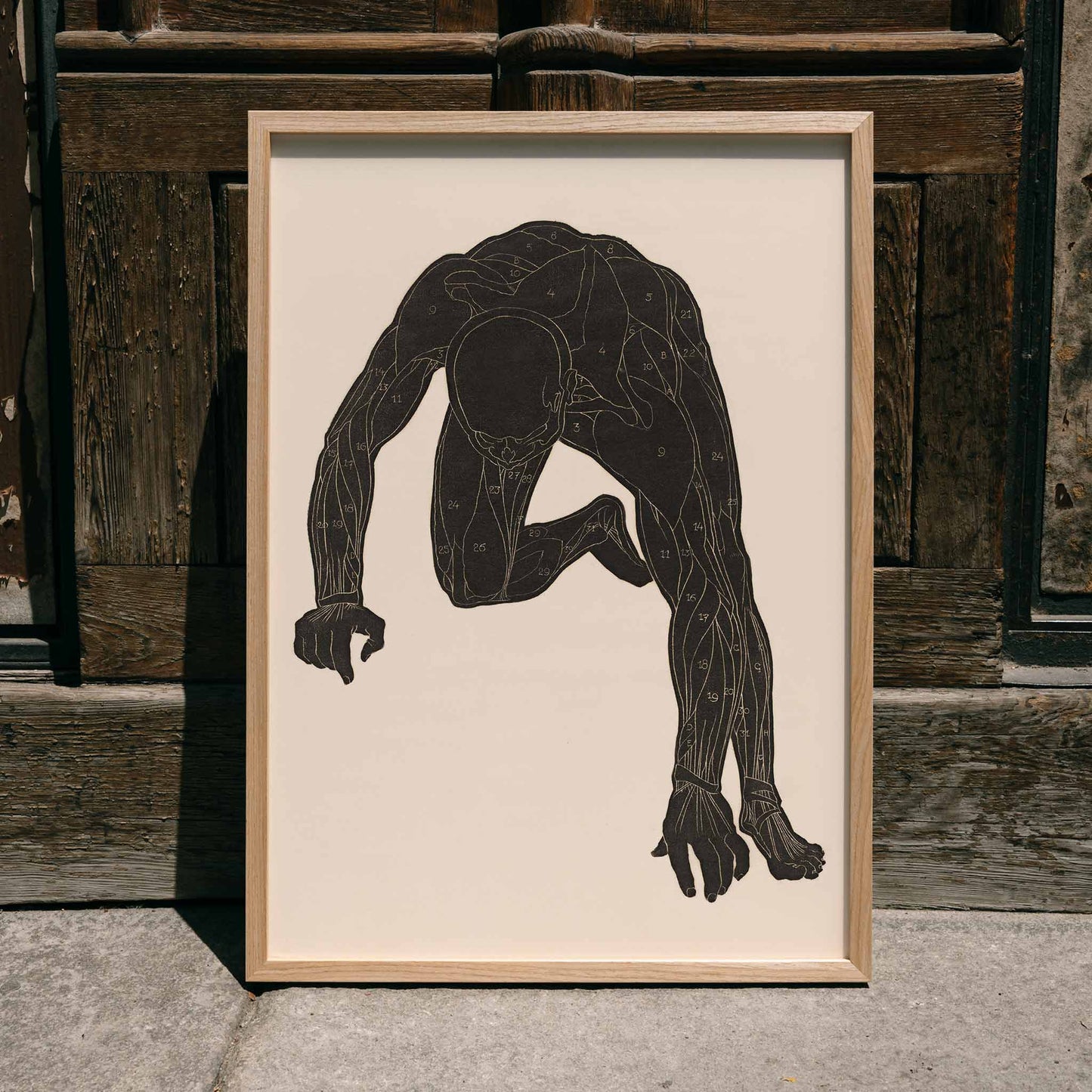 Anatomical illustration of human muscular anatomy and crouching figure from Neck Muscles by Reijer Stolk, framed and displayed in home decor