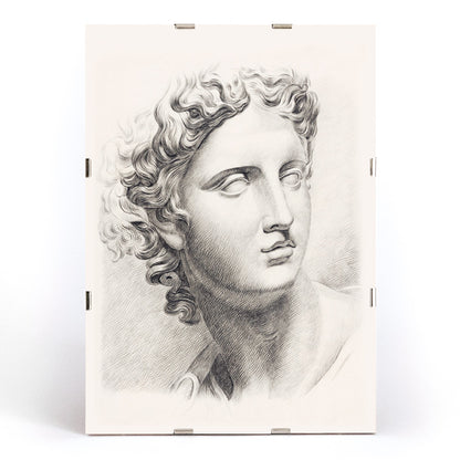 Academy study of a mans head after a plaster cast antique statue by Johannes Tavenraat detailed drawing and poster, framed and displayed in modern living room decor